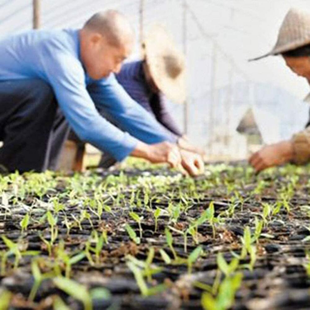 10Pcs Cells Seedling Starter Tray Extra Strength Seed Germination Plant Flower Pots Nursery Grow Box Propagation For Gardening