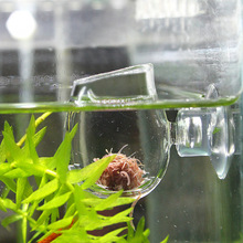 Glas fodring kop fisk tank foder saltlage rejer æg røde orme mad til akvarium