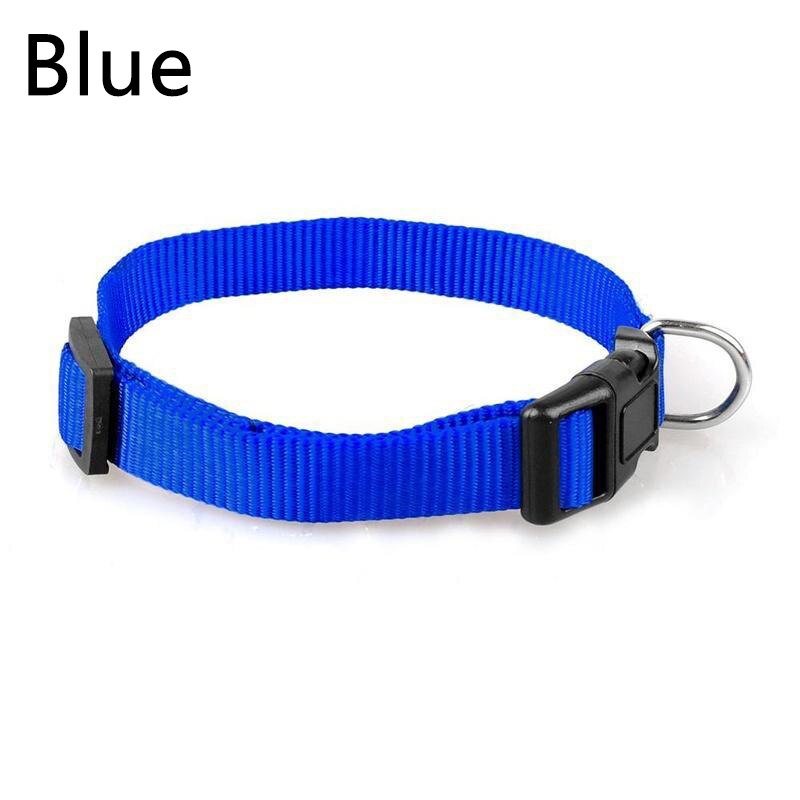 Pet Adjustable nylon dog collars Puppy Dogs Cat Neck Collar Solid Color Chihuahua Puppy nylon Collars: D / S