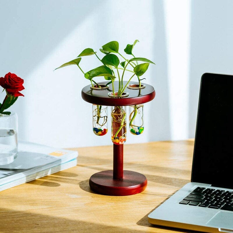 Szkło 3 probówka kwiat wazon na pączki kwiatów, drewniany stojak, ambona, biuro w domu