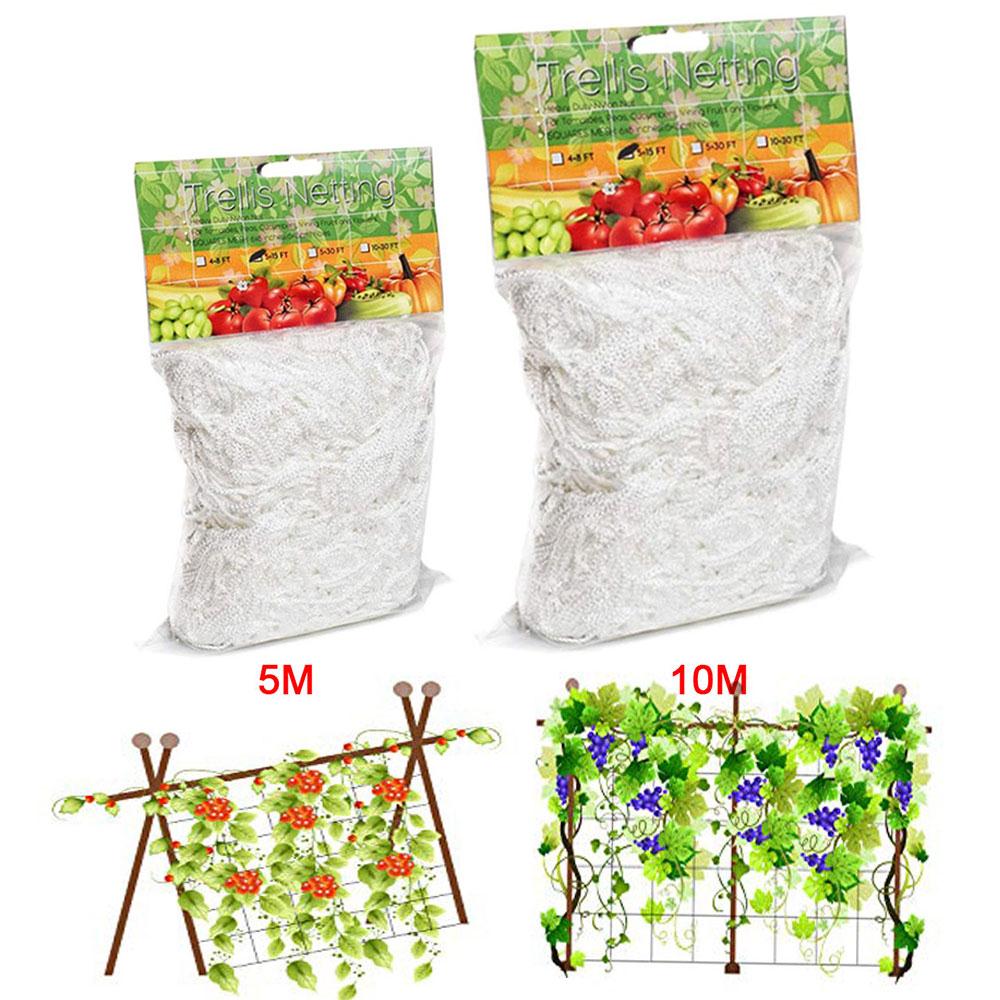 Planting Climbing Frame Gardening Net Useful Climbing Net Anti-Bird Plant Home Garden Buildings Tool Vegetable
