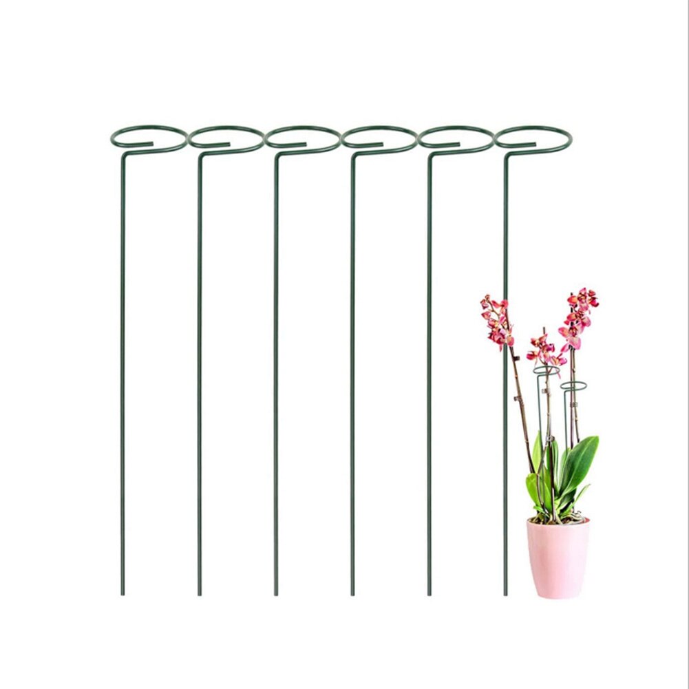 5 Pack Plant Support Stakes Garden Single Stem Support Stake Amaryllis Plant Cage Support Rings for Tomatoes Rose Flower Stem