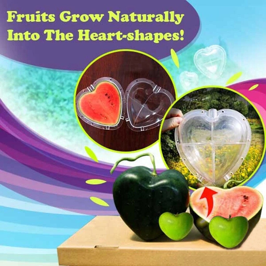 Estereotipo de crecimiento molde con forma de corazón sandía fruta manzana crecimiento molde sapodilla Pepino de soportar sol calor lluvia