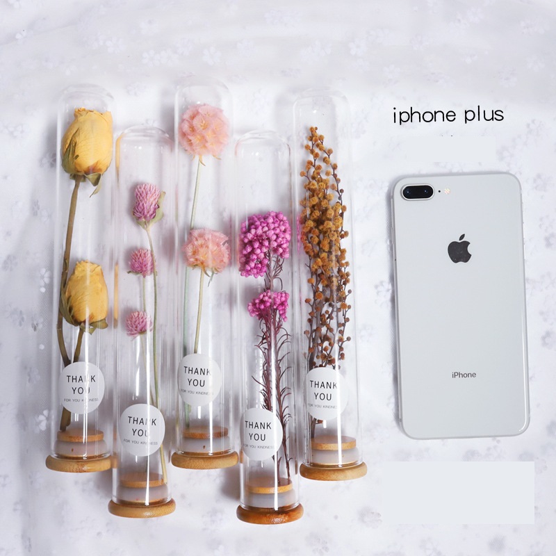 Dried Flower Glass Test Tube Decorations Family Living Room Study Specimens Ornaments