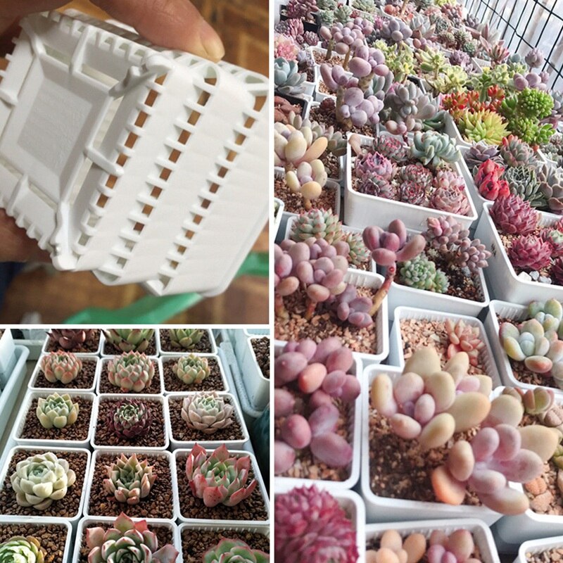 Fyrkantiga plastsuckulenter planteringskrukor med brickset för plantskola kaktusplantor kruka trädgårdstillbehör