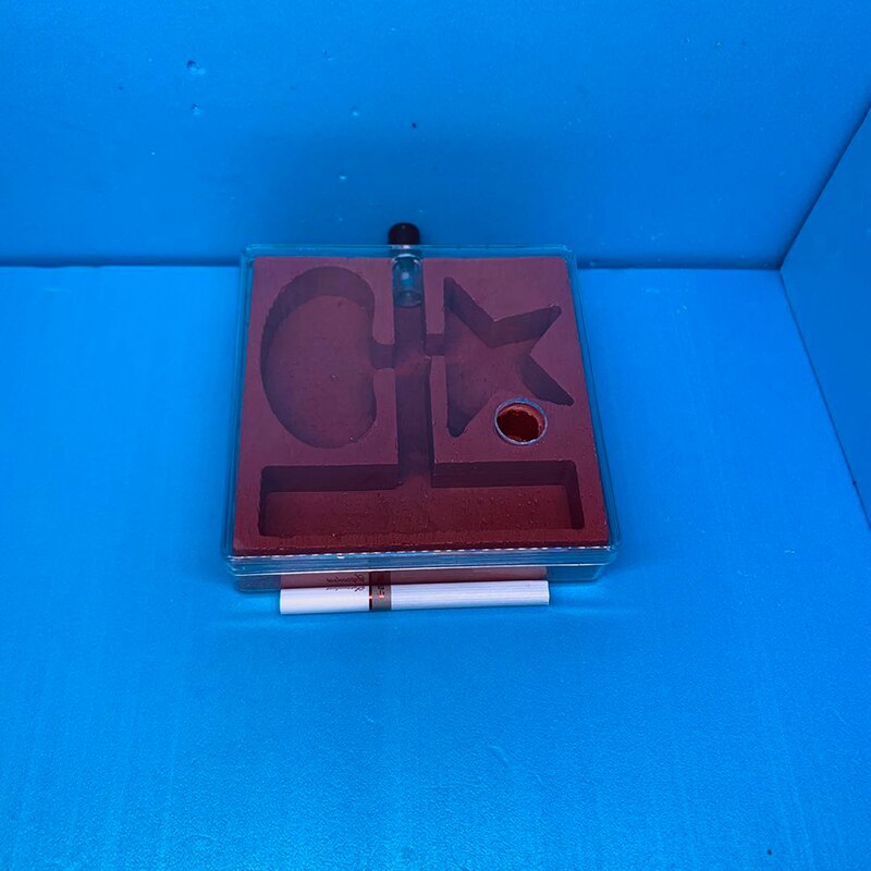 mini mrówka schody gniazdo tynk gniazdo farma mrówek warsztat owad Terrarium wyjątkowe prezenty: styl C