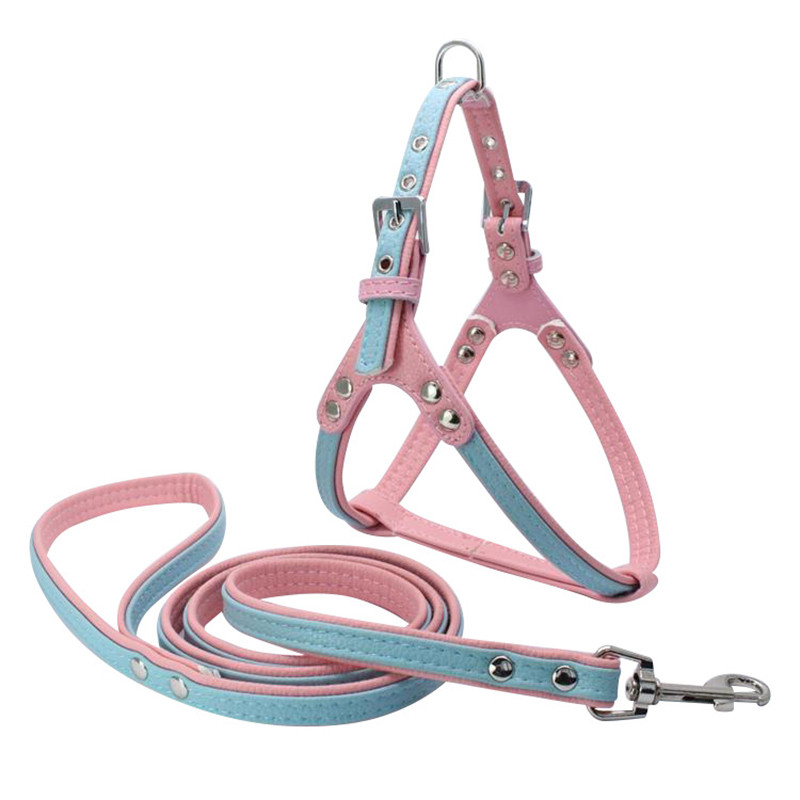 (5 stuks/partij) Hond Harnas Zachte Lederen Breakaway Kleine Medium Hond Pet Harnas Leash lead Set: Sky Blue / M