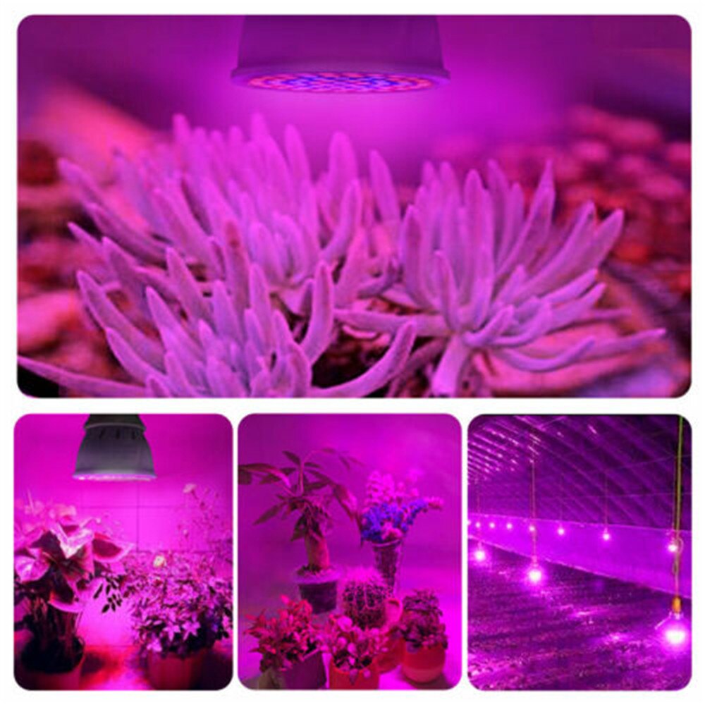 1 PCS Licht Groeien Volledige Spectrum Indoor fitolampa E27 220 V SMD 2835 Voor Zaailingen Planten Phytolamp Lamp Voor planten Verlichting