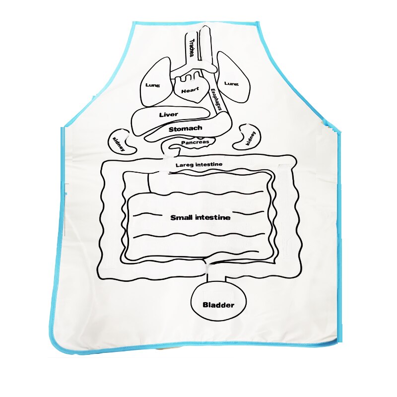 Anatomy Apron Human Body Organs Educational Insights Human Organs Home Apron Aids Toys For Children Body Teaching