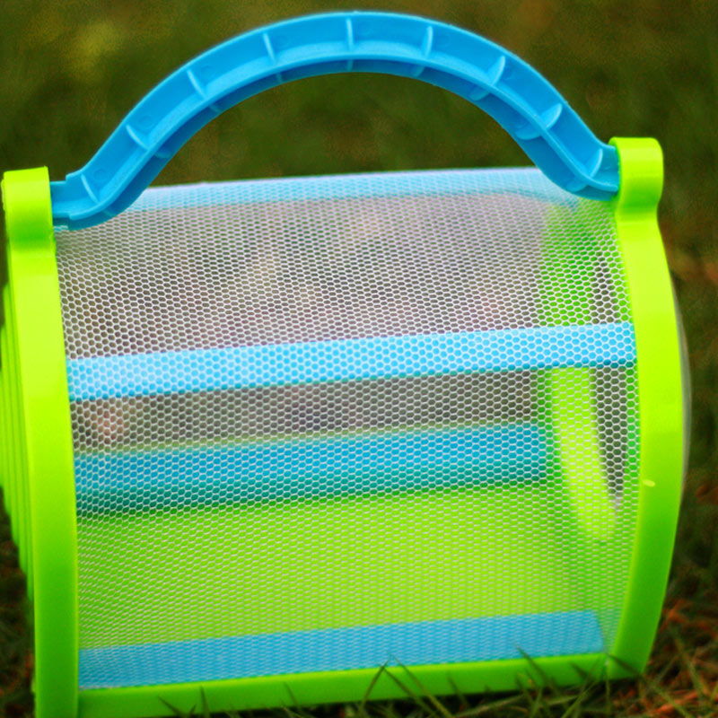 Cage à insectes Portable 1 pièce | Filet d'observation, maison pour libellule papillon Cricket, petit Animal de jardin, fournitures pour animaux domestiques