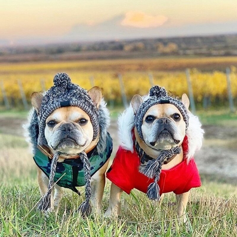Lovely Dog Hats Pet Winter Warm Caps Windproof Knitting Cap French Bulldog Hat Pet Products Pet Cool Caps