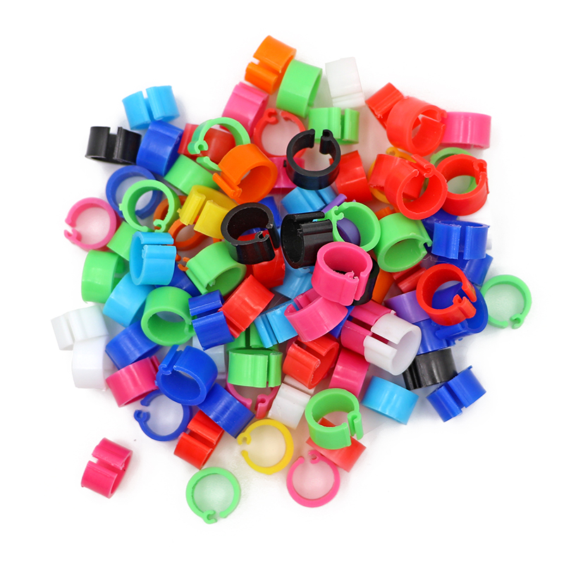 Anillos de plástico para pies de palomas y codorniz, suministros para aves pequeñas, 10 colores, piezas, 100