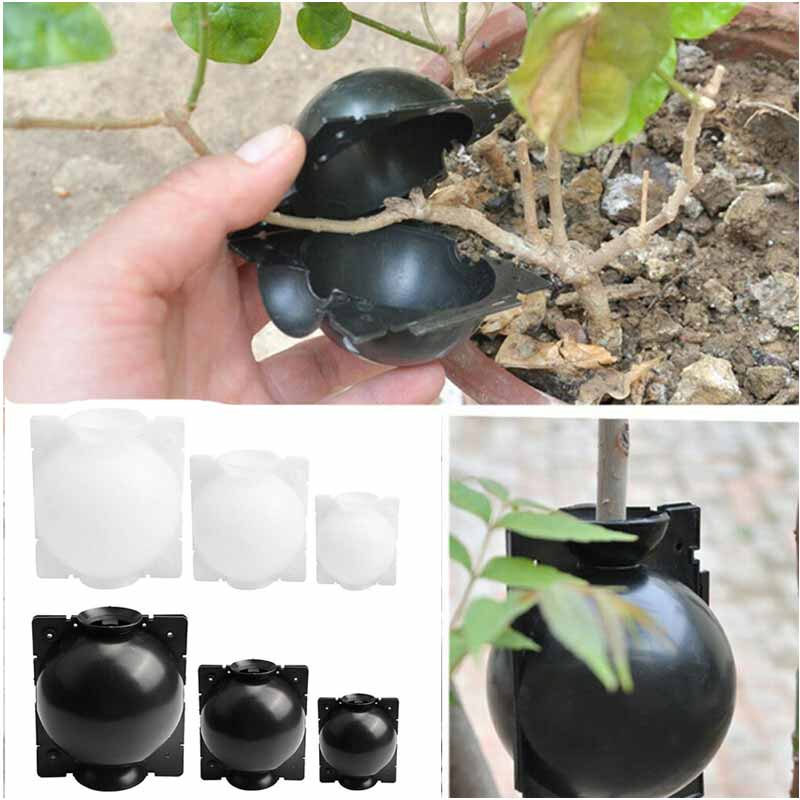 Caja de cultivo para injertos de bolas de enraizamiento de plantas de 5/8/12 pulgadas Caja de cultivo para plantar raíces de jardín contenedor de flores de plástico caja de vivero