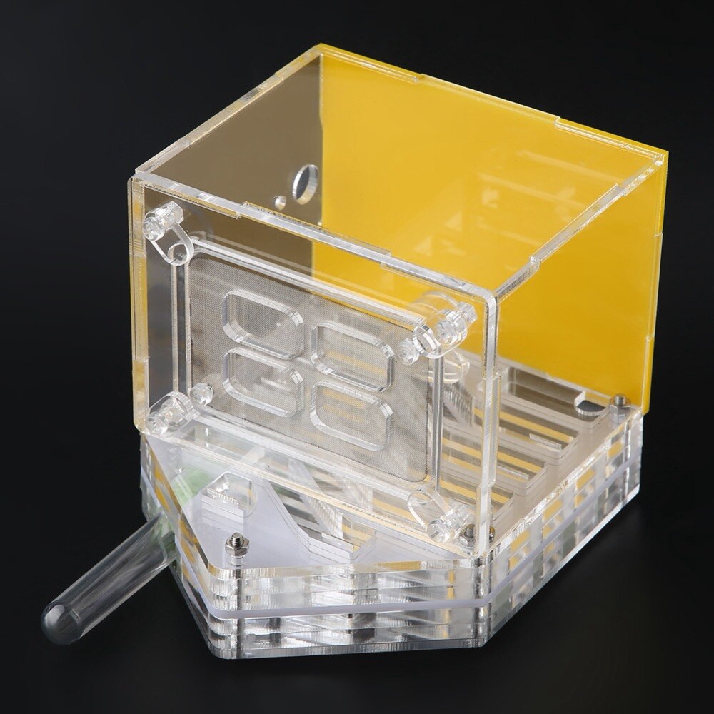DIY with feeding area Ant Farm with Feeding Ant Nest Villa Insect Pet Anthill Workshop