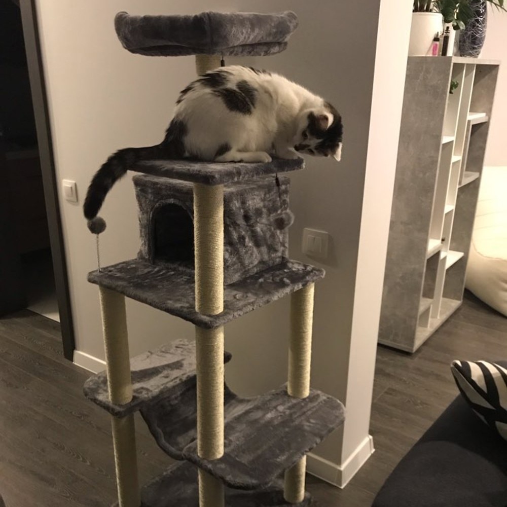 3/5/10/20M Pet Scratcher Post Hemp Rope DIY Sisal Rope for Cat Scratch Tree Funny Cat Toys Binding Rope for Cat Catching Frame