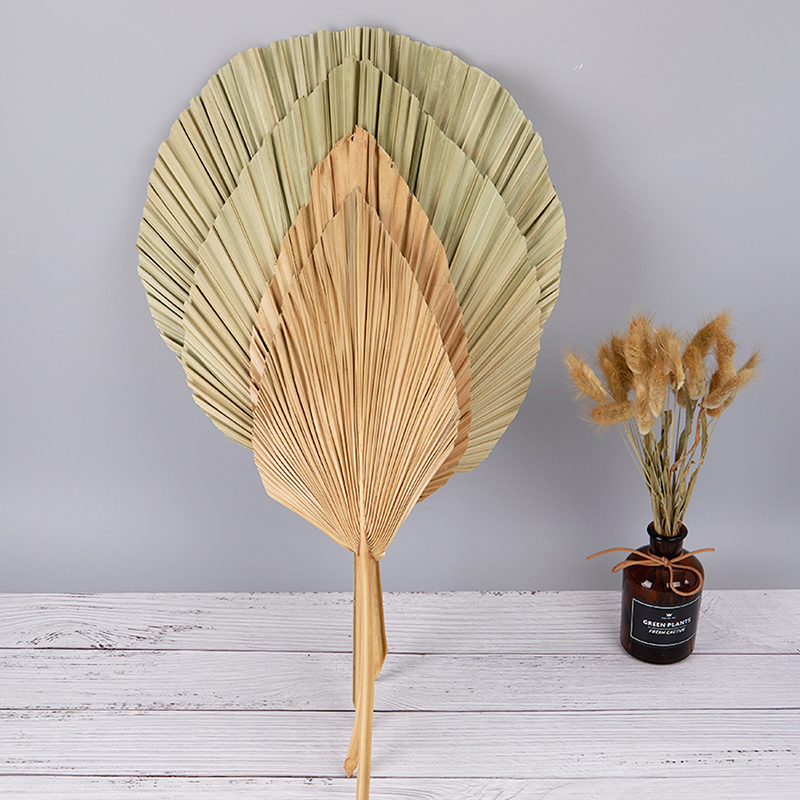 Palm Fan Leaf Dried Flower Palm Leaf Window Reception Party Art Wall Hanging Decoration Wedding Arch Arrangement