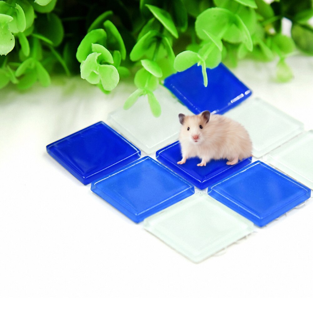 2pcs Summer Sleeping Mat Hamster Cooling Pad Cooling Cushion (Blue, Green): Default Title