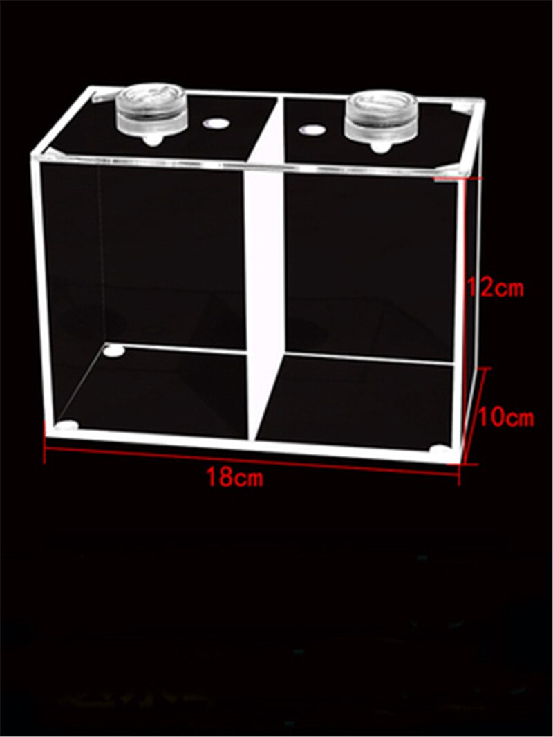Mini pecera acrílica de doble compartimento, pecera de escritorio, acuario con planta de agua de imitación LED