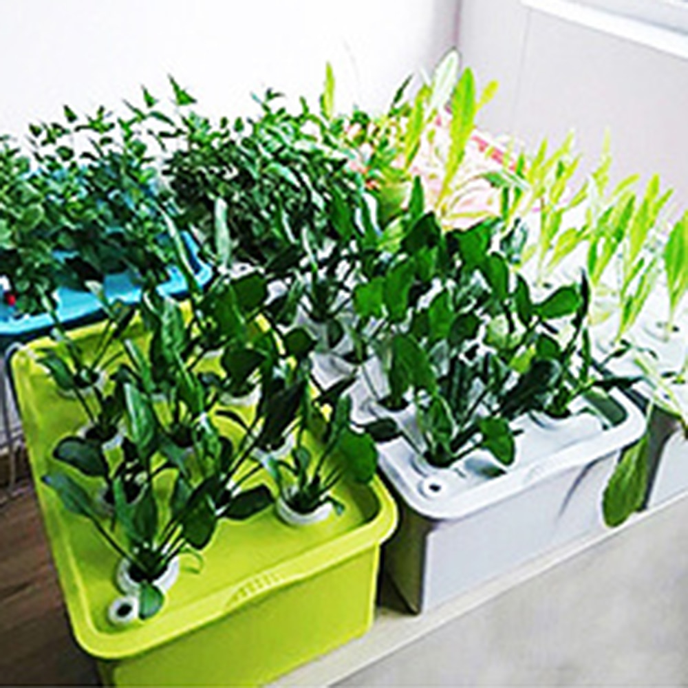 10 sæt mini mesh potte net kop kurv hydroponisk aeroponic plante vokse svamp praktisk