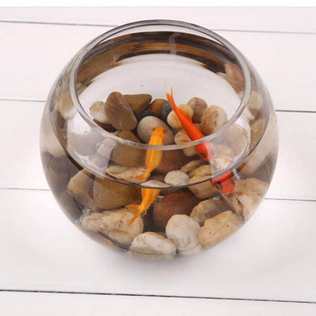 Recipiente redondo transparente de cristal, recipiente esférico transparente, jarón de pescado, tarro de Tanque De Agua