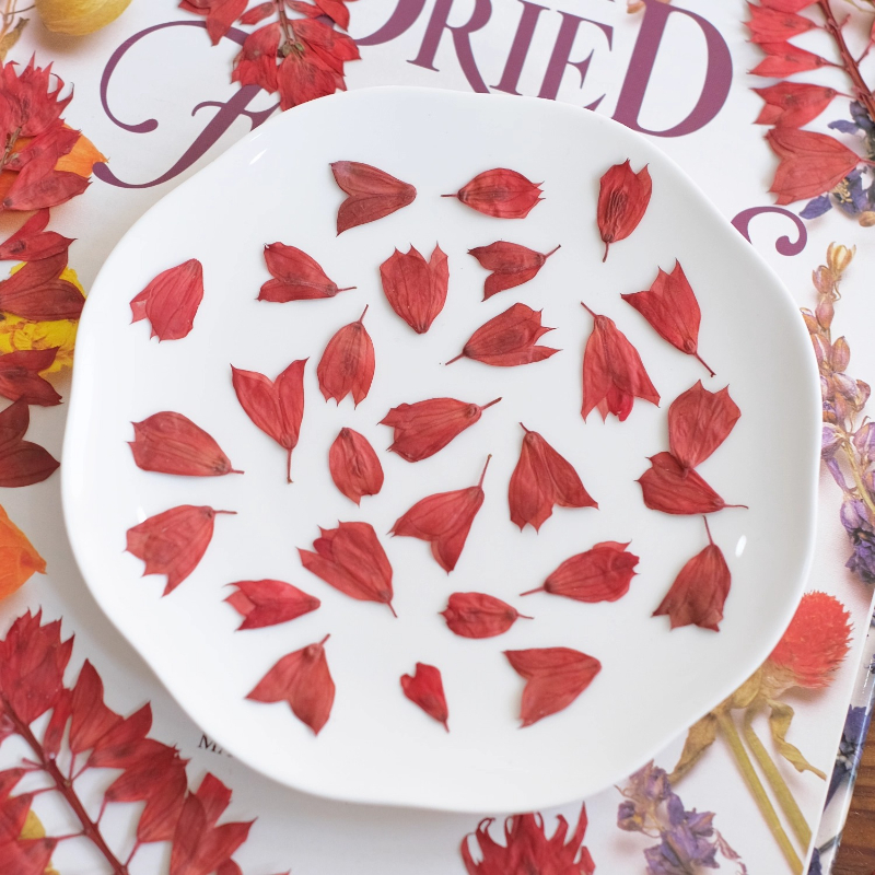 1-2 cm/40 stks, gedroogde tulp bloemknoppen geperste bloemen DIY ambachtelijke benodigdheden voor nail art, hars sieraden, telefoonhoes fotolijst decor