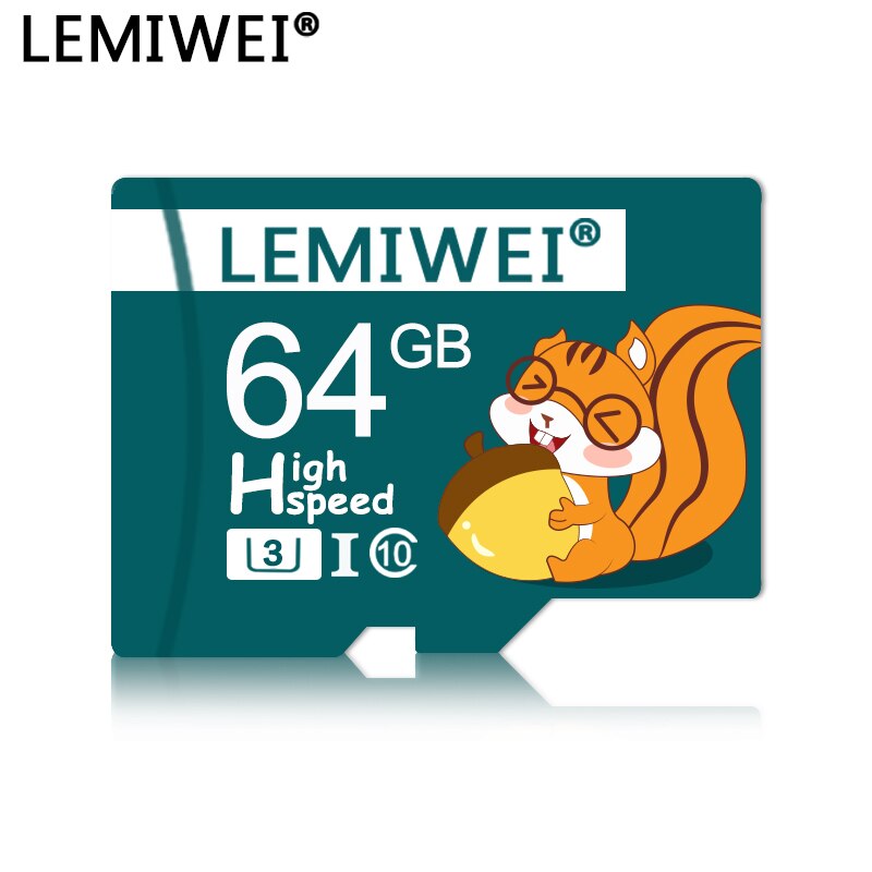 Karta pamięci Lemiwei 64GB 32GB 16GB karta wysokiej prędkości TF klasa 10 UHS-I karta TransFlash pudełko na karty na smartfona