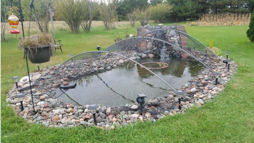 Dammskydd nät, koi damm täcka nät pool blad nät skyddar koi fisk från blåhäger fåglar katter hund rovdjur