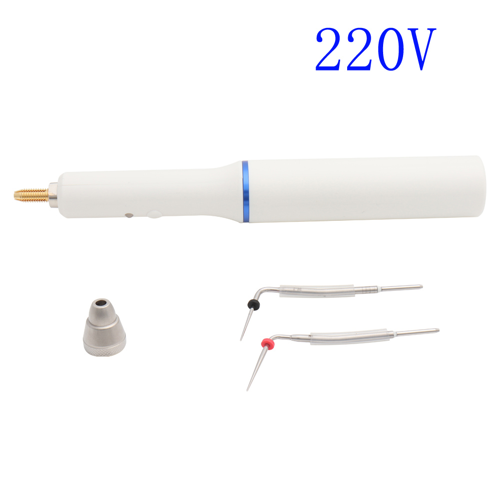 Dental Cordless Draadloze Guttapercha Obturation Systeem Endo Verwarmde Pen 2Tips Groen Wit 110V 220V: White 220V