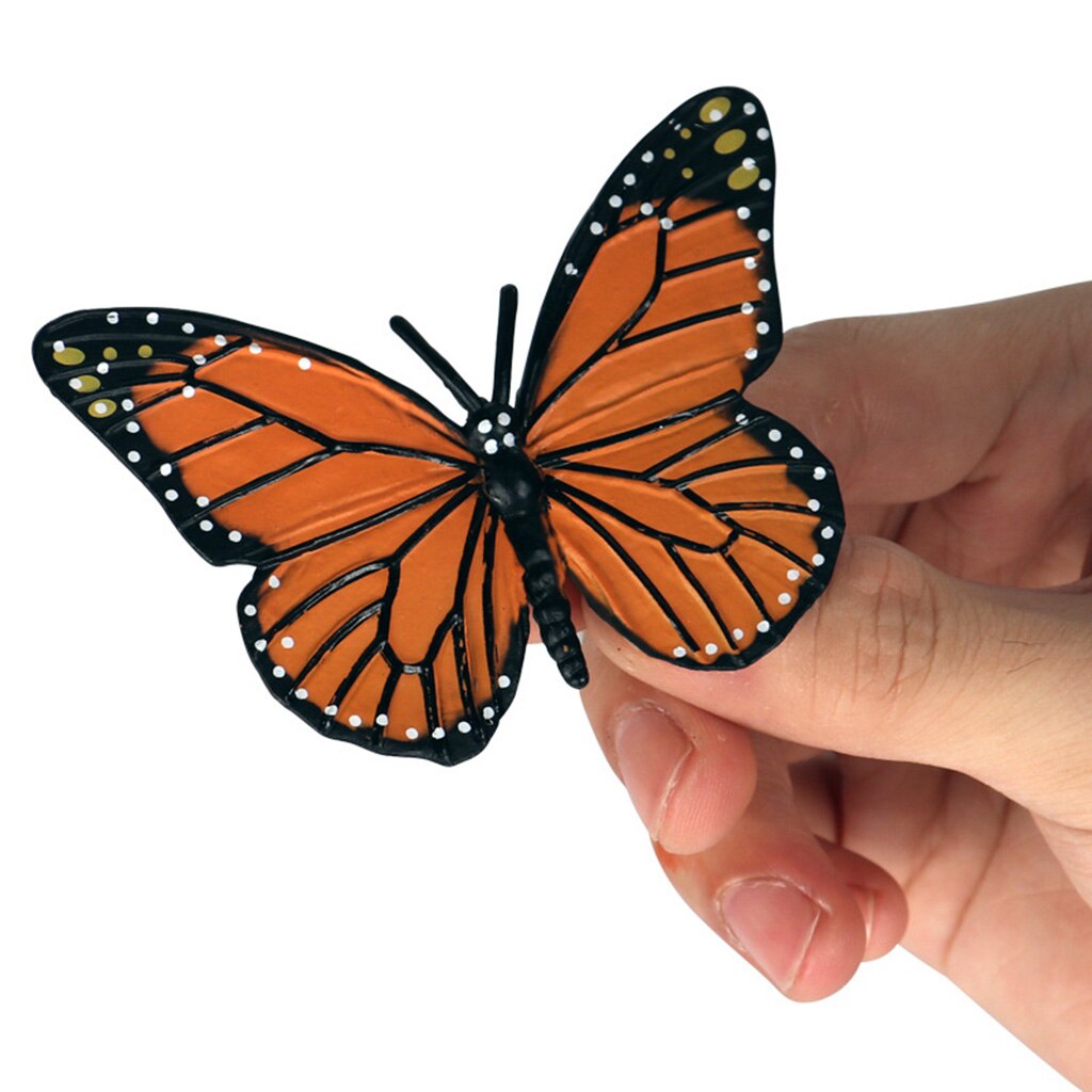 Simulatie Vlinder Groei Levensduur Cijfers Verbeelding Speelgoed Voor
