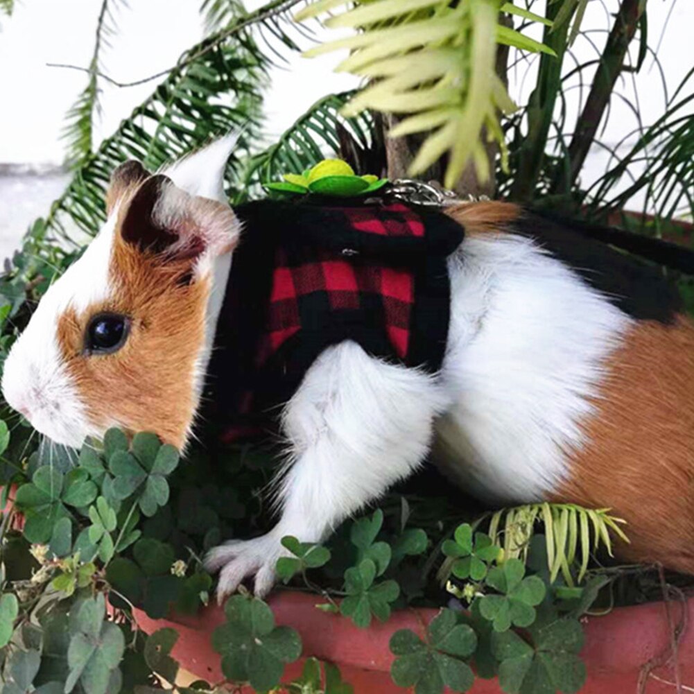Arnés para hámster, correa ajustable para conejillo de indias, Chinchilla, ratones, Hurón, cuerda de tracción al aire libre, accesorios para animales pequeños