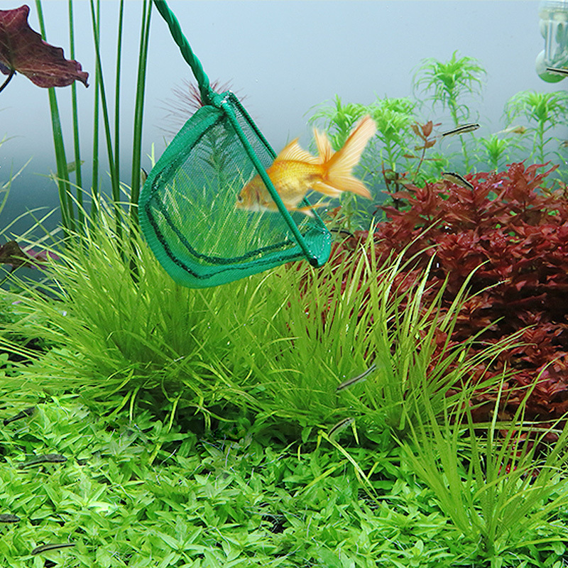 Aquarium Fish Net Fine Mesh Fishing Landing Net Fish Catch Nets Long Handle Fish Floating Objects Cleaning Tool