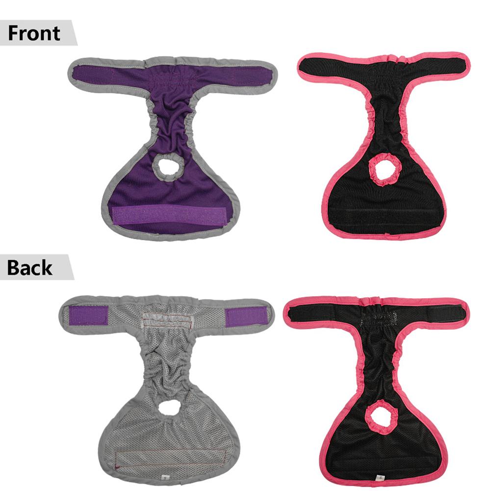 Pantalon physiologique pour chien, couche hygiénique lavable, sous-vêtements pour petits, moyens et grands chiots, pantalons pour chats