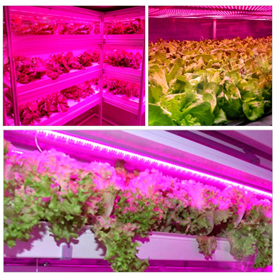 ledet vekstlys fullt spekter 0.5-3m 2835 smd 5v usb vokse lys stripe teip ledet phyto lampe til planter voksende plante lys teltboks