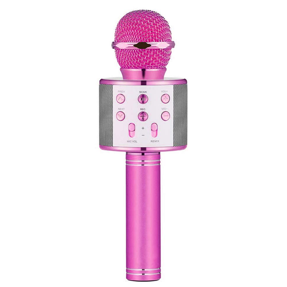 LET'S GO! DIMY Draadloze Draagbare Bluetooth Karaoke Microfoon-Best