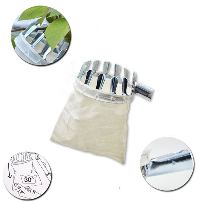 stainless steel orchard high branch harvesting tool can extend the handle for orchard picking fruit picker