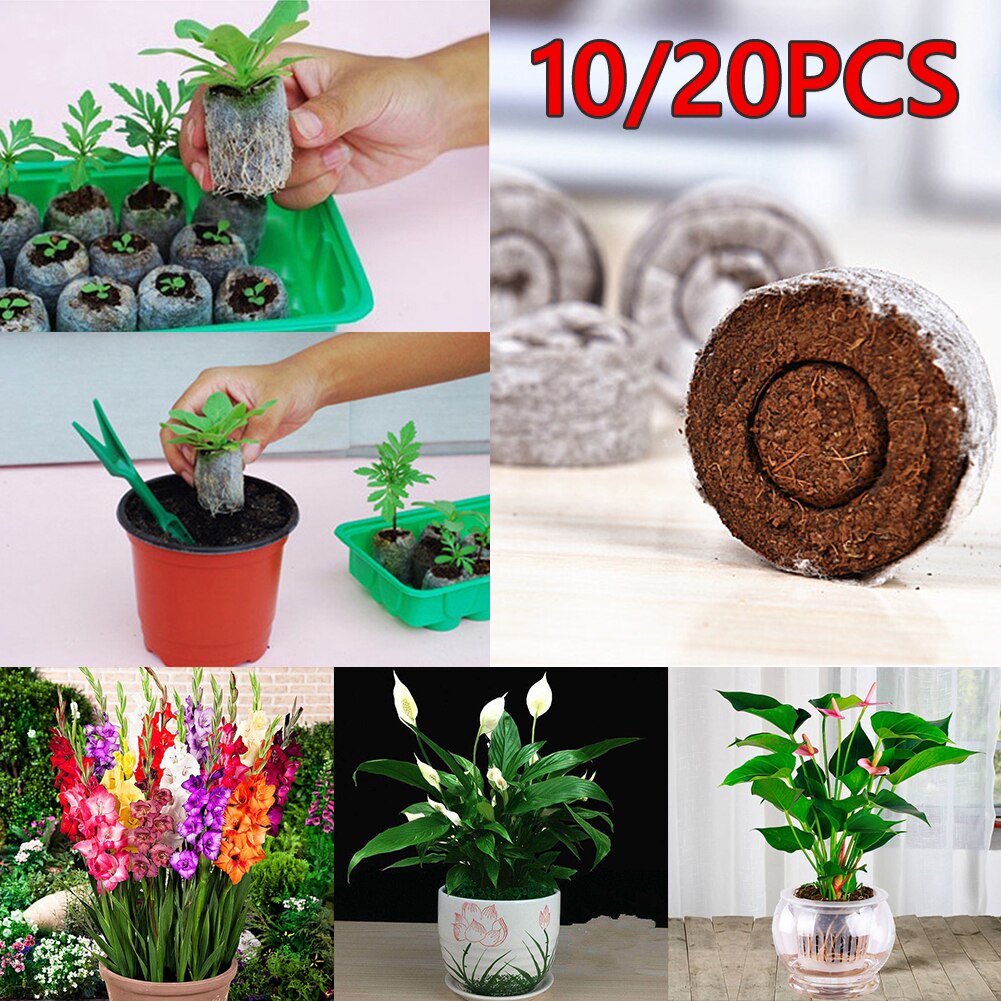 10/20pcs Seedling Trays Jiffy Peat Pellets Seedling Soil Block Starting Plug Seed Starter For Gardening Starting Germination Box