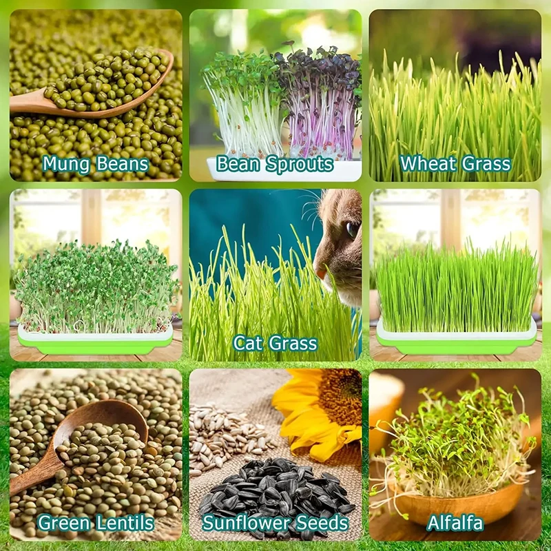 3/1PCS Plastic Grow Kwekerij Potten Groente Grondloze Kwekerij Trays Zaad Kieming Lade Zaailing Spruit Plaat Tuin