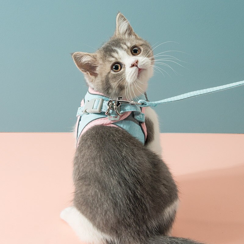Cat Harness Leash Set Rope Vest-style Harness With Reflective Strips Adjustable Leashes for Cat Walking Pet SLeash Chest Strap
