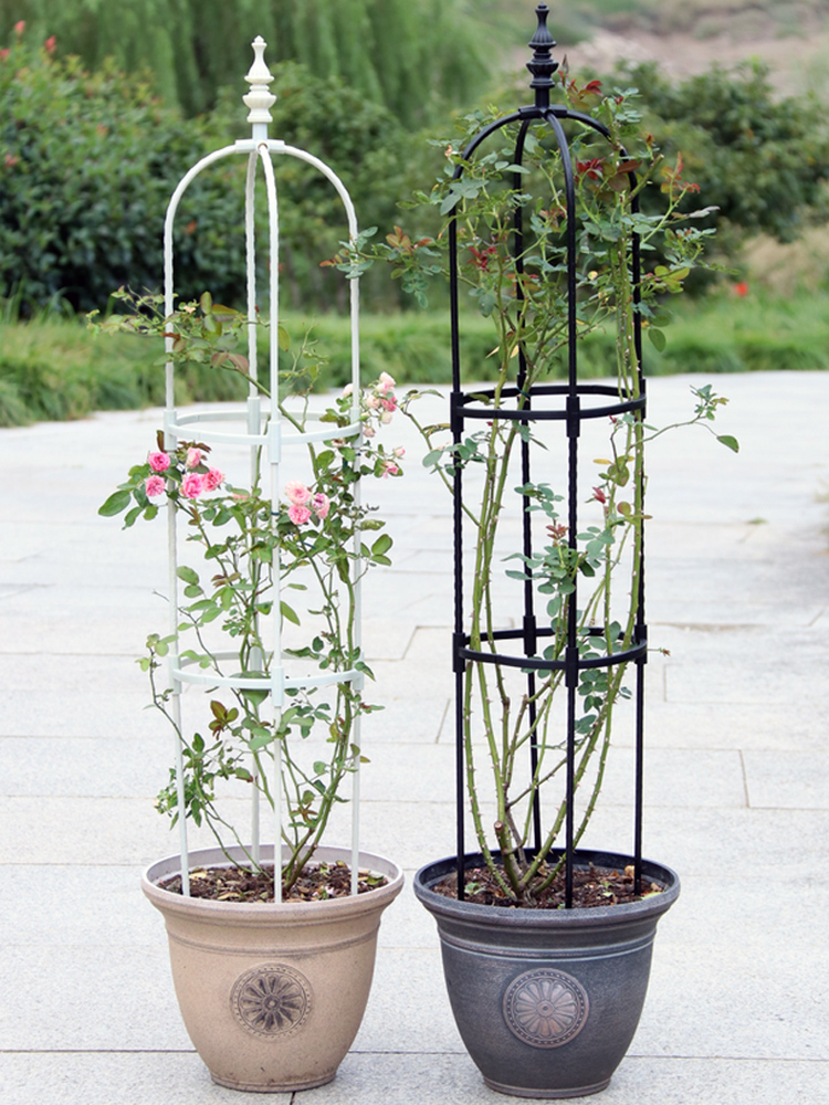 Metal Plant Climbing Frame, Outdoor Flower Stand, Trellis DIY, Tomato Vegetable Vines Plants Potted Support, Home Garden Decor