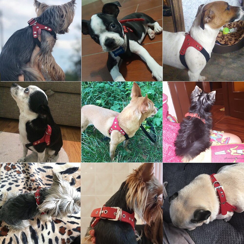 Blød ruskindslæder lille hundesele til hvalpe chihuahua yorkie teddy hvalp hvalp justerbar brystsele til hunde forsyninger