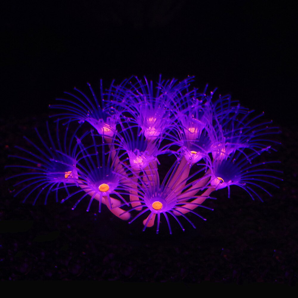 Coraux de tournesol, Gel de silice souple qui se déplace naturellement avec le flux d'eau, corail qui brille dans la nuit, pour les décorations d'aquarium de poissons