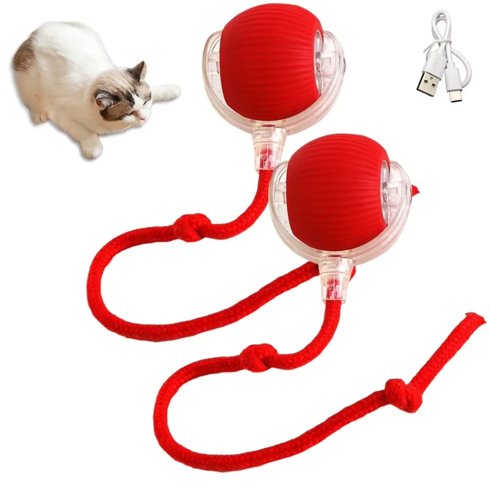 Hondenspeelgoed Bal Aanbieding bij KiK
