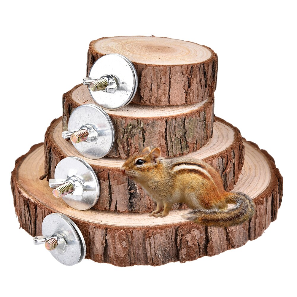Tabla de troncos de madera Natural para hámster, plataforma de madera para Chinchilla, conejillo de indias, ardilla, Totoro, loro, para saltar, suministros de juguetes para mascotas pequeñas