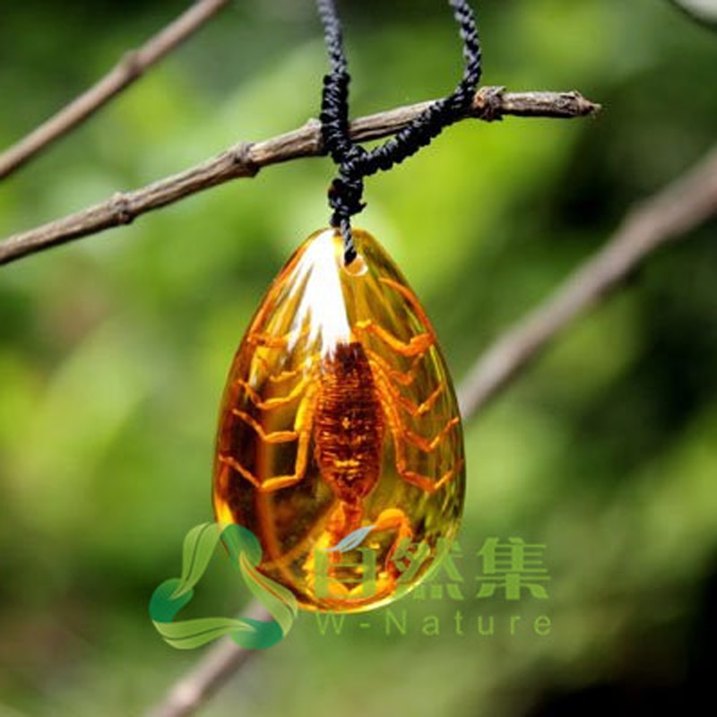 Mode Insect Golden Scorpion Ambers Hanger Ketting Sieraden voor Vrouwen Mannen