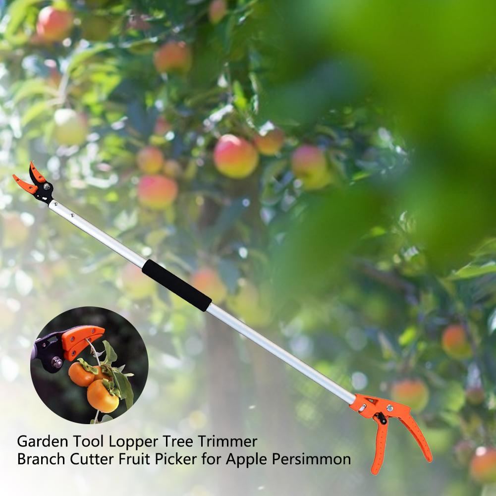 Garden Tool Lopper Tree Trimmer Branch Cutter Fruit Picker For Apple Persimmon 1/2 Inch Garden Tool Lopper Tree Trimmer Branch C