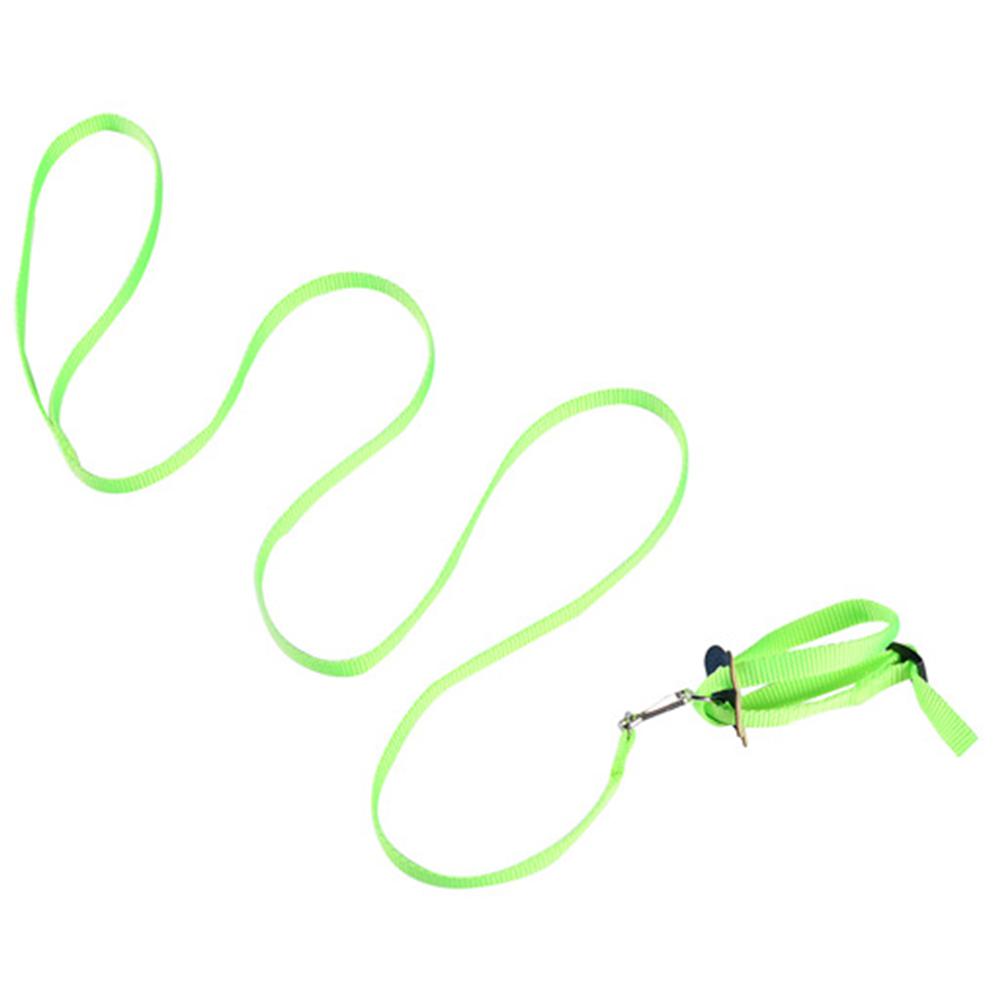 8 kształt latający lina treningowa smycz dla papuga ptak chomika żółw jaszczurka: zielony