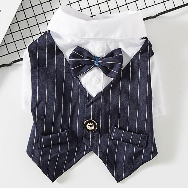 Beau Costume de fête pour chien et chat, vêtements solides à la , veste pour animaux de compagnie pour chats, petits chiens, vêtements de fête d'anniversaire et de mariage: M / Bleu
