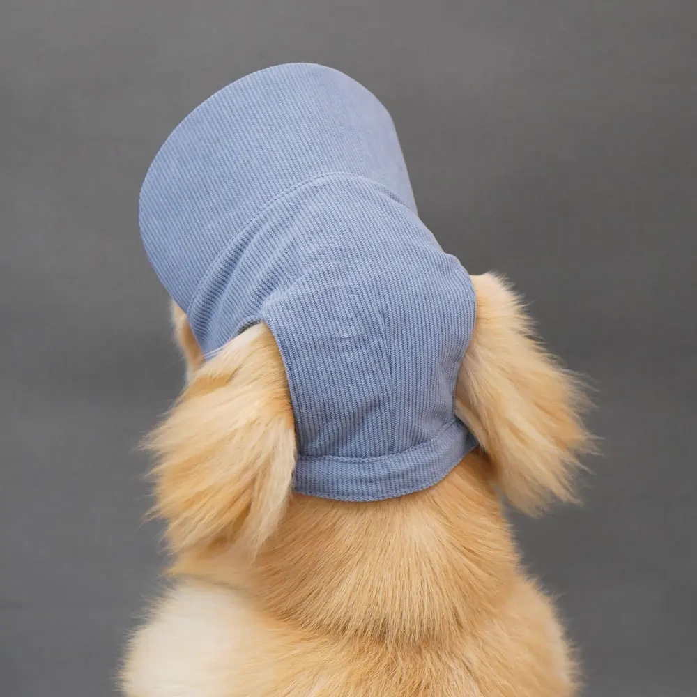 Casquette pour chien avec trous d'oreille, chaîne réglable pour chiens et chats, casquette à visière d'extérieur, chapeau de Sport d'été pour chiots, petits, moyens et grands chiens: M / green