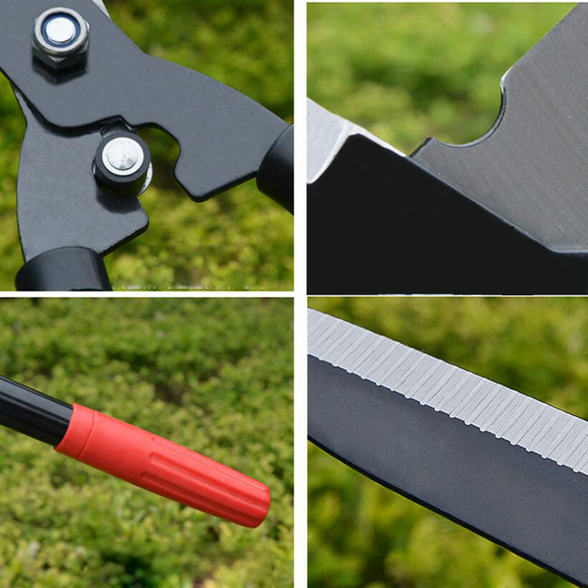 Cisaille à manche long pour arbres fruitiers, sécateur de jardinage, outils de greffage