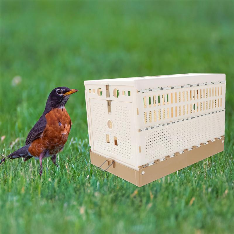 Cage pliable pour pigeons, en plastique, pour le transport des oiseaux, pour l&#39;entraînement et la libération des pigeons
